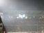 Arminia Bielefeld - VfL Bochum - photo